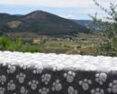 Zampa Blanket