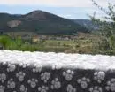 Zampa Blanket